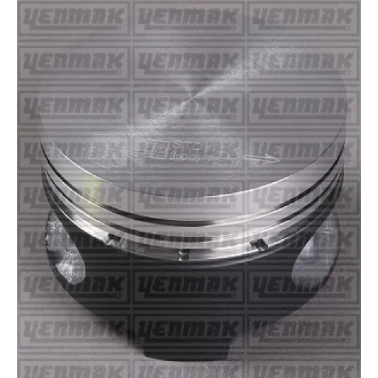 PISTON+SGM (ADET) STD 91-98 R9-R19-EXP 1.4i 8V E6J *75,8*