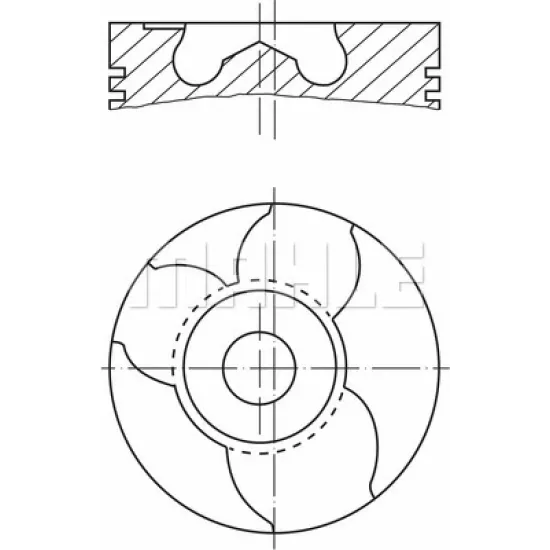 PISTON+SEGMAN 