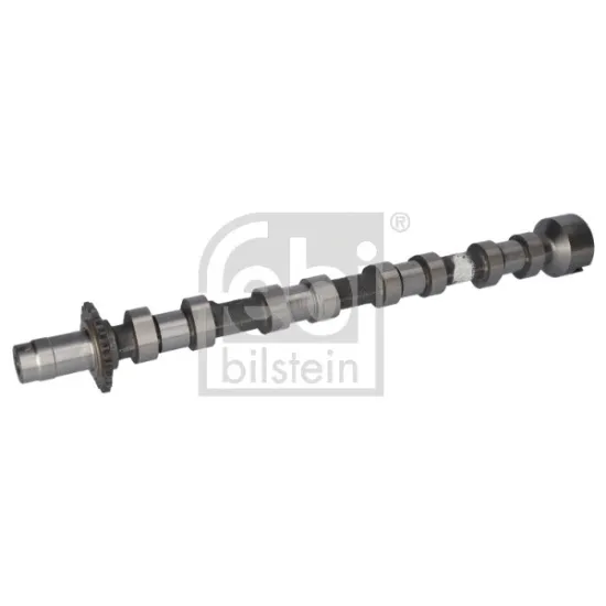 EKSANTRIK MILI EMME (PEUGEOT 407-308-3008-5008 DW10C EURO 5)