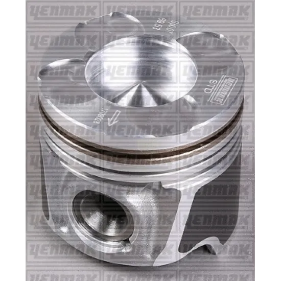 PISTON+SGM (ADET) STD PAL-DBL 1.3MJ *69.6*