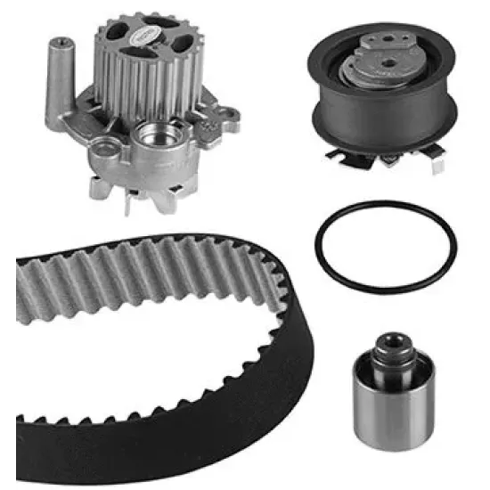 TRIGER SETI + SU POMPASI (VW CADDY 04-11 GOLF 02-09 PASSAT 03-11 POLO 02-10 TRANSPORTER T5 1.9 03-10 AUDI A3 01-13 A4 01-08) B