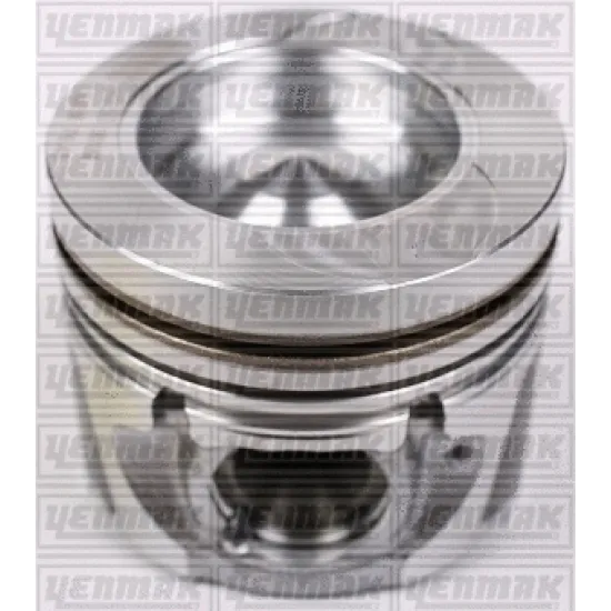 PISTON+SGM (ADET) STD MEGANE.III-SCENIC.III 1.5dci 90hp EURO5