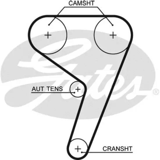 TRIGER KAYIŞ(117DİŞ)( FORD FİESTA 1.4-1.6 ZETEC 01-12 FOCUS 1.6 ZETEC 03- )