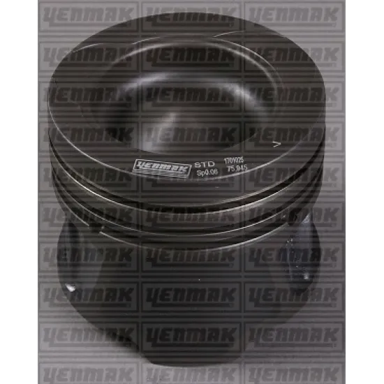 PISTON+SGM (ADET) STD CLIO.III-MEGANE.II-KANGOO-LAGUNA.III-SCENIC 1.5dci 105hp EURO4