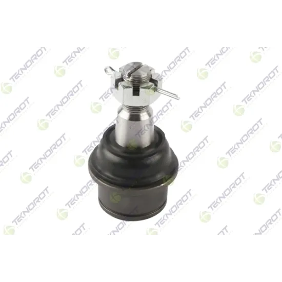 ROTIL ON ALT FORD E-250 4th Gen 2009-2014 FORD E-150 4th Gen 2009-2014