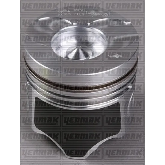 PISTON+SGM (ADET) STD TRAFIC-MGN-LGN 1.9dti F9Q *80*