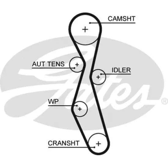 TRIGER KAYIŞI (116 DİŞ)( FORD FOCUS 2.0TDCİ 03- MONDEO 2.0TDCİ 07-14 )( PEUGEOT 307 / 407 / 607 2.0HDI DW10BTED4 05- )