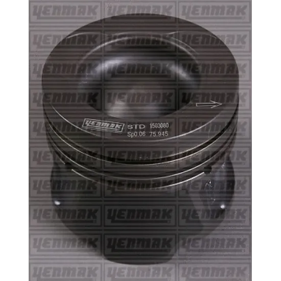 PISTON+SGM (ADET) STD MEGANE.III-SCENIC.III 1.5dci 110hp EURO5 *SOGUTMALI*