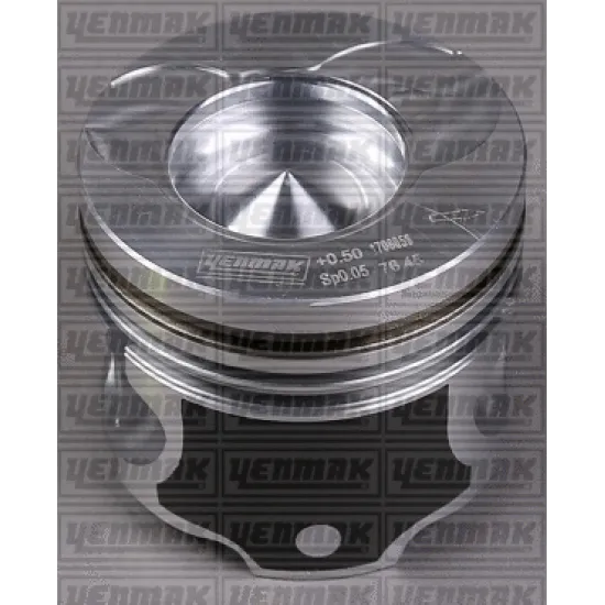 PISTON+SGM (ADET) STD CLIO-KANGOO 1.5dci (26mm)