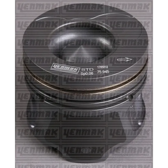 PISTON+SGM (ADET) STD CLIO-KANGOO-MGN 1.5dci 100hp *SOGUTMALI* EURO3 *76*