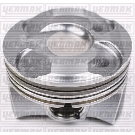 PISTON+SGM (ADET) STD 07> PT.207-3008-5008-C3-C4 1.6vti 16V 11> 1-S (F20-F21) 3-S (F30-F31-F80) *77*