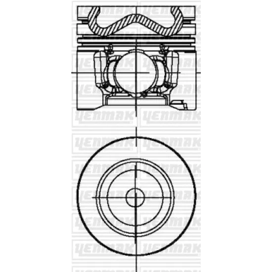 PISTON+SGM (ADET) STD 12> 308-3008-508-5008-C4-DS4-FOCUS 1.6hdi *DV6C* *75*