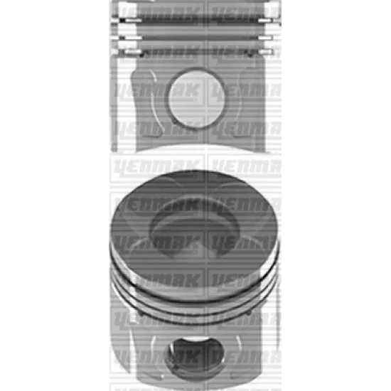 PISTON+SGM (ADET) STD FIORINO-ASTRA.J-CORSA.D 1.3mjt *A13DTE* *69.6* 95hp