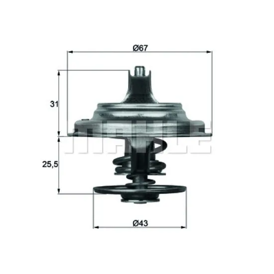 TERMOSTAT 79 °C MAN TGA 18.310, 18.320 IVECO EUROTRAKKER MP 440 E 42 HT